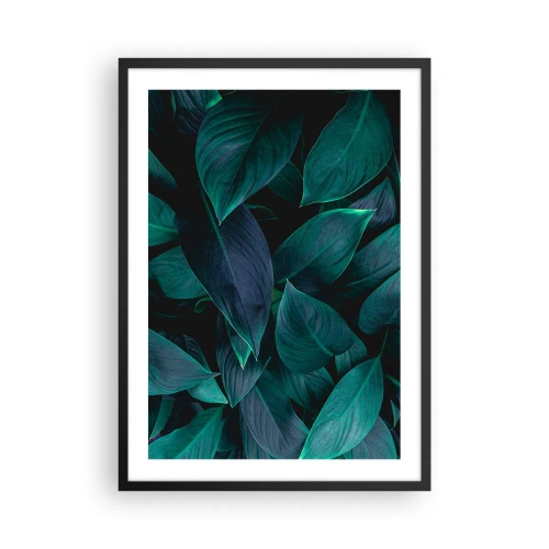 Plakát v černém rámu - Tmavě zelené listy s jemným podsvícením - 50x70cm - Zeleň sama o sobě - Moderní nástěnná dekorace do obývacího pokoje a ložnice ARTTOR