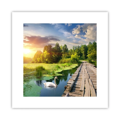 Plakát - Léto, léto všude - 30x30 cm