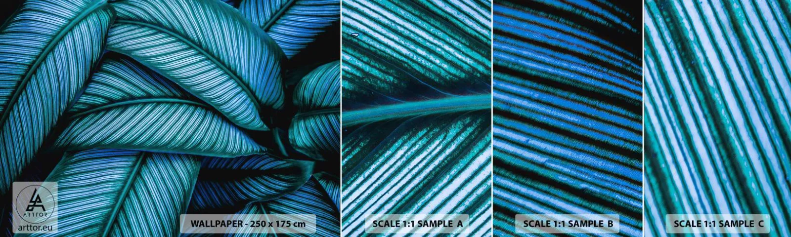 Fototapeta Vzorek Standard Eco - Čáry života - Listy, Botanika, Rostliny - 100x30 cm