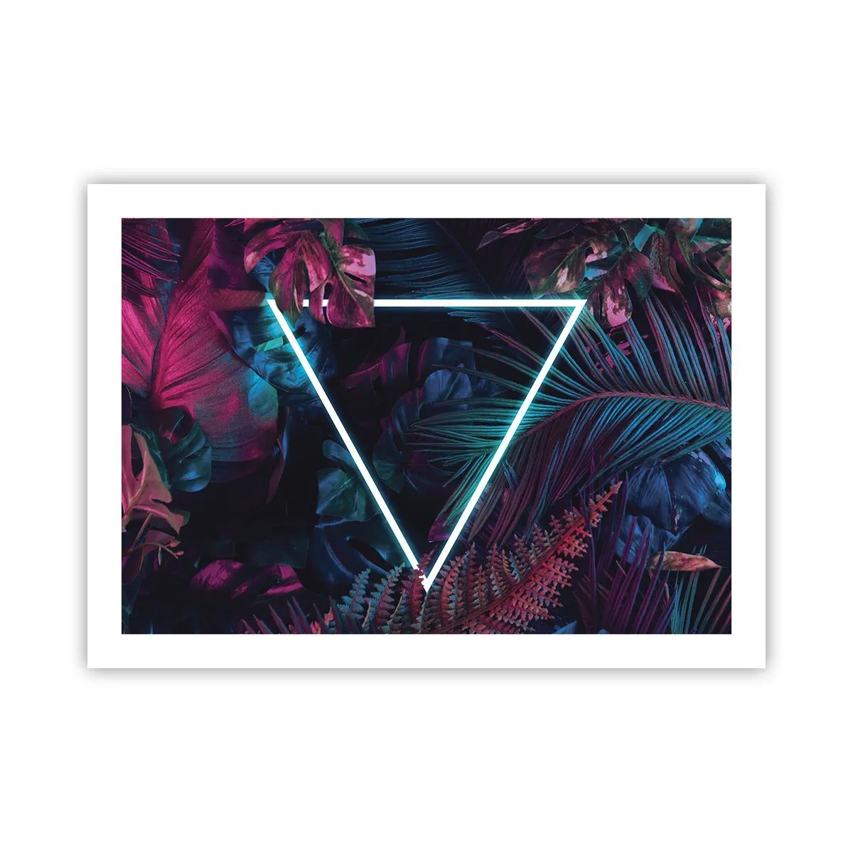 Plakát - Zahrada v disco stylu - 70x50 cm