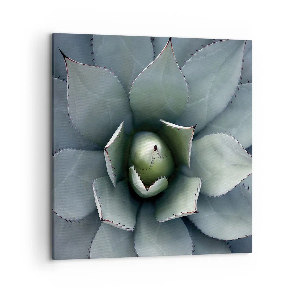 Obraz na plátně - Svádí a varuje - 50x50 cm