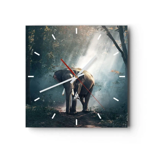 Nástěnné hodiny - Klidná procházka - 40x40 cm