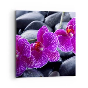 Obraz na plátně - Kameny se rozzářily nadšením - 70x70 cm