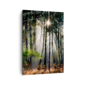 Obraz na plátně - Lesní divočina - 50x70 cm