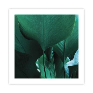 Plakát - Obrácené ke světlu - 50x50 cm