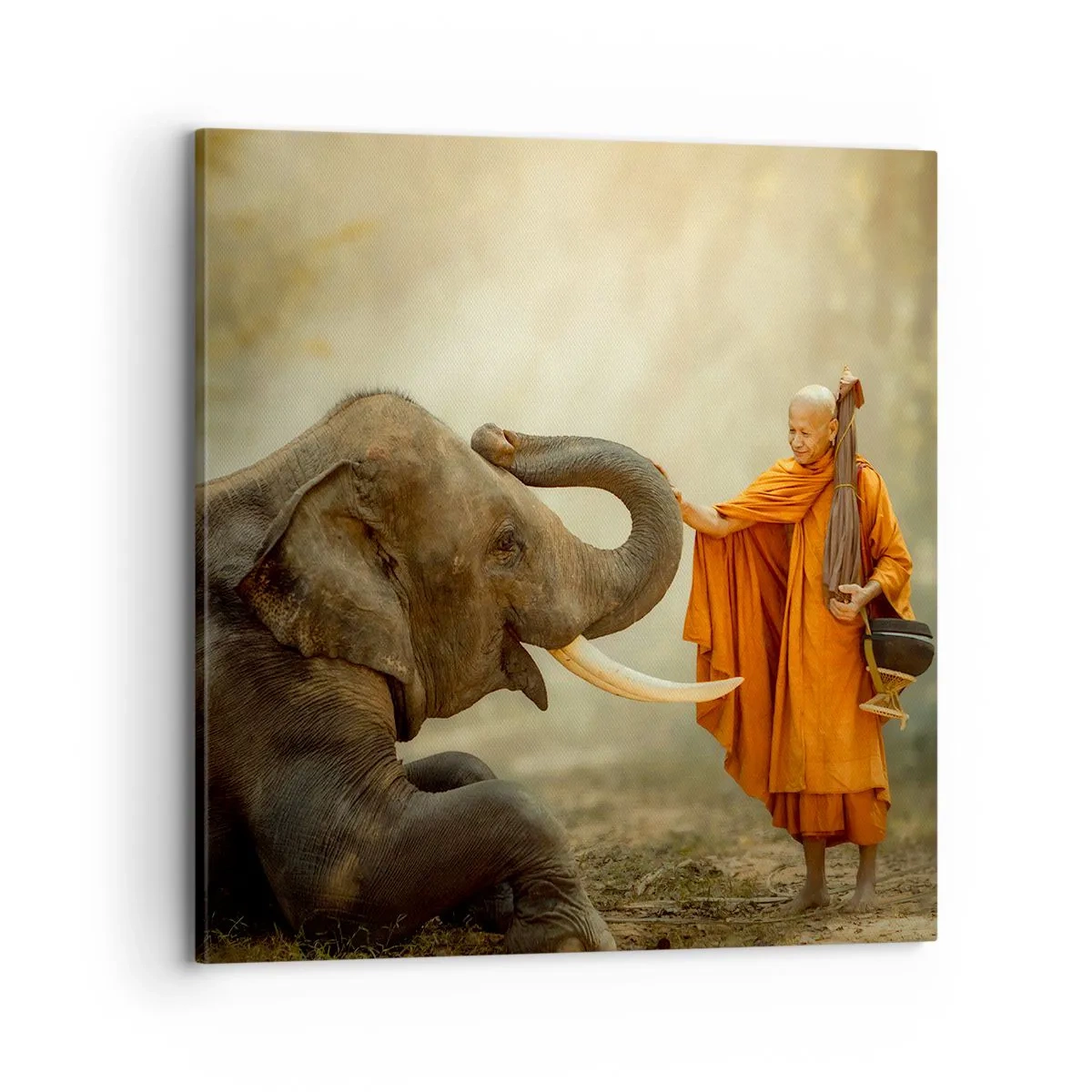 Obraz na plátně - Setkání na cestách - 70x70 cm