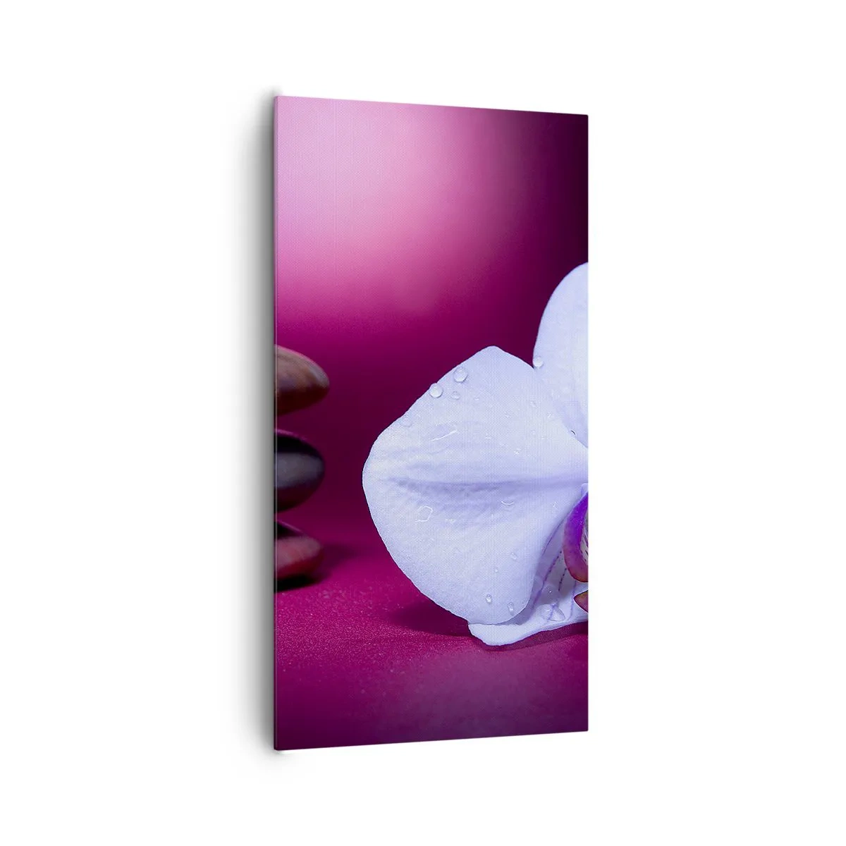 Obraz na plátně - Studie svěžesti ve fialové - 65x120 cm