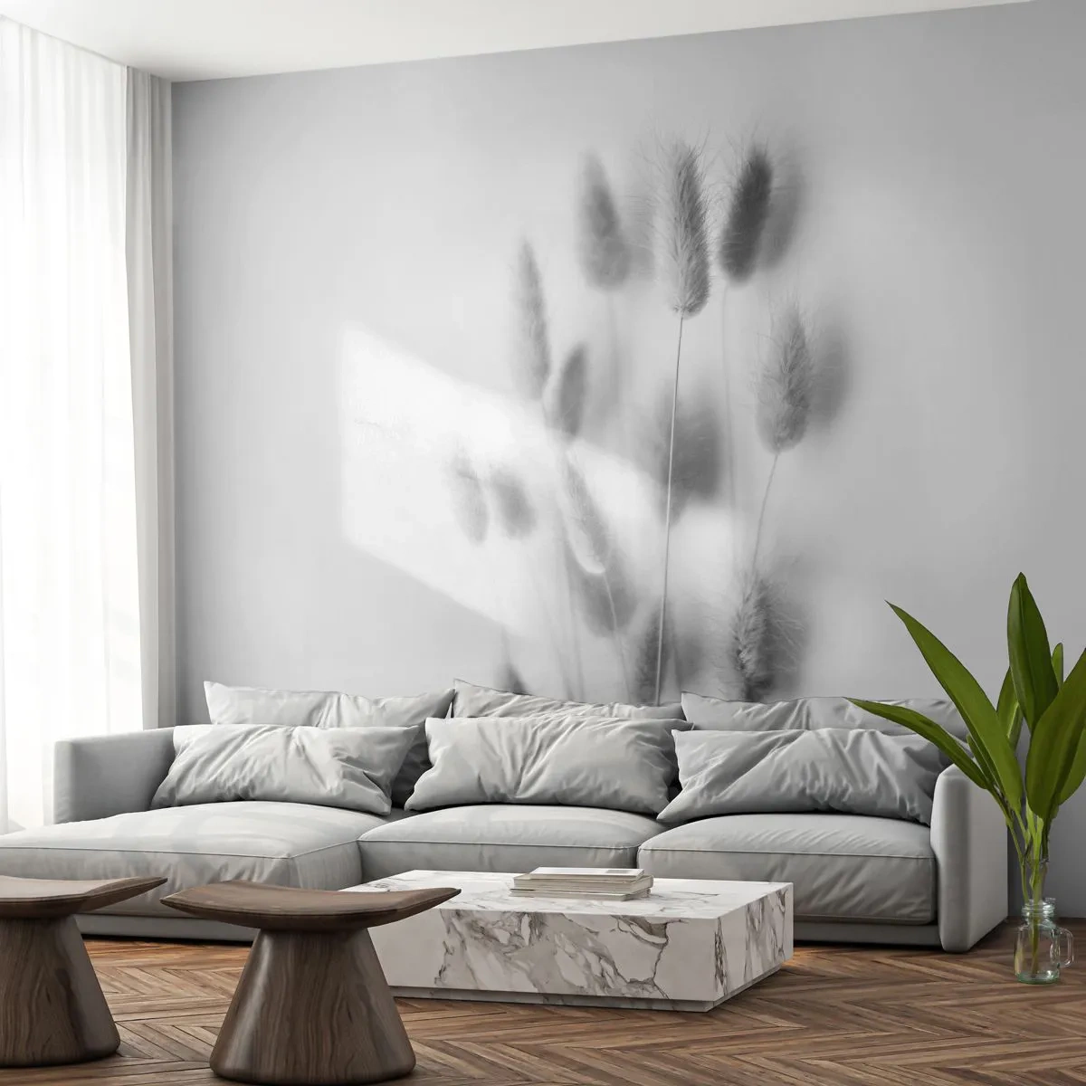Fototapeta Standard Eco - Její načechranost tráva - Tráva, Černý a bílý, Květiny - 350x256 cm