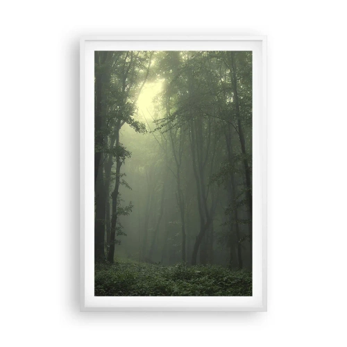 Plakát v bílém rámu - Než se probudí - 61x91 cm