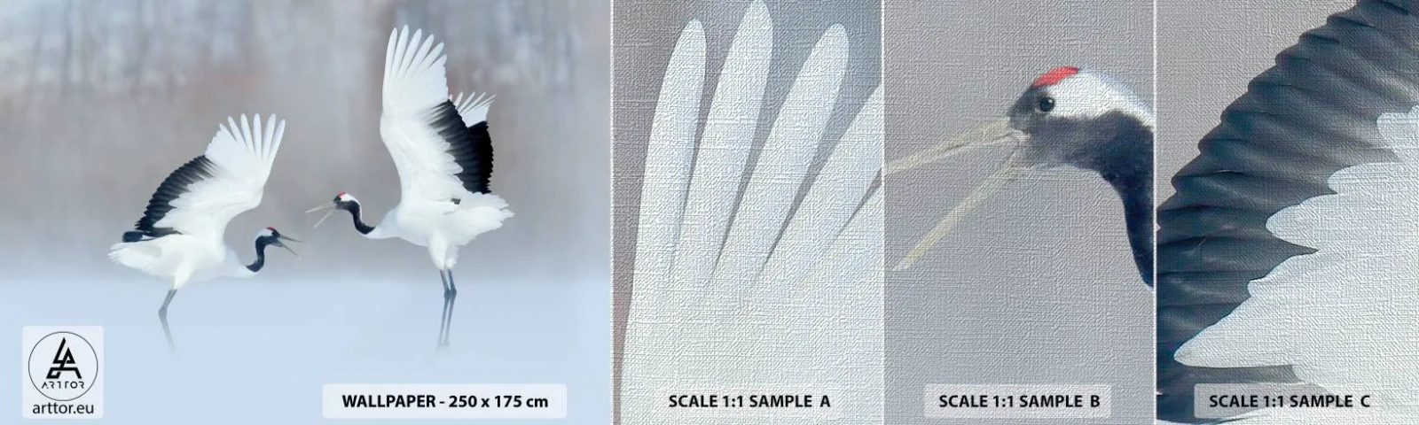 Vzor Fototapety Premium Canvas - Tanec v mlze - Zima, Pták, Příroda - 100x30 cm