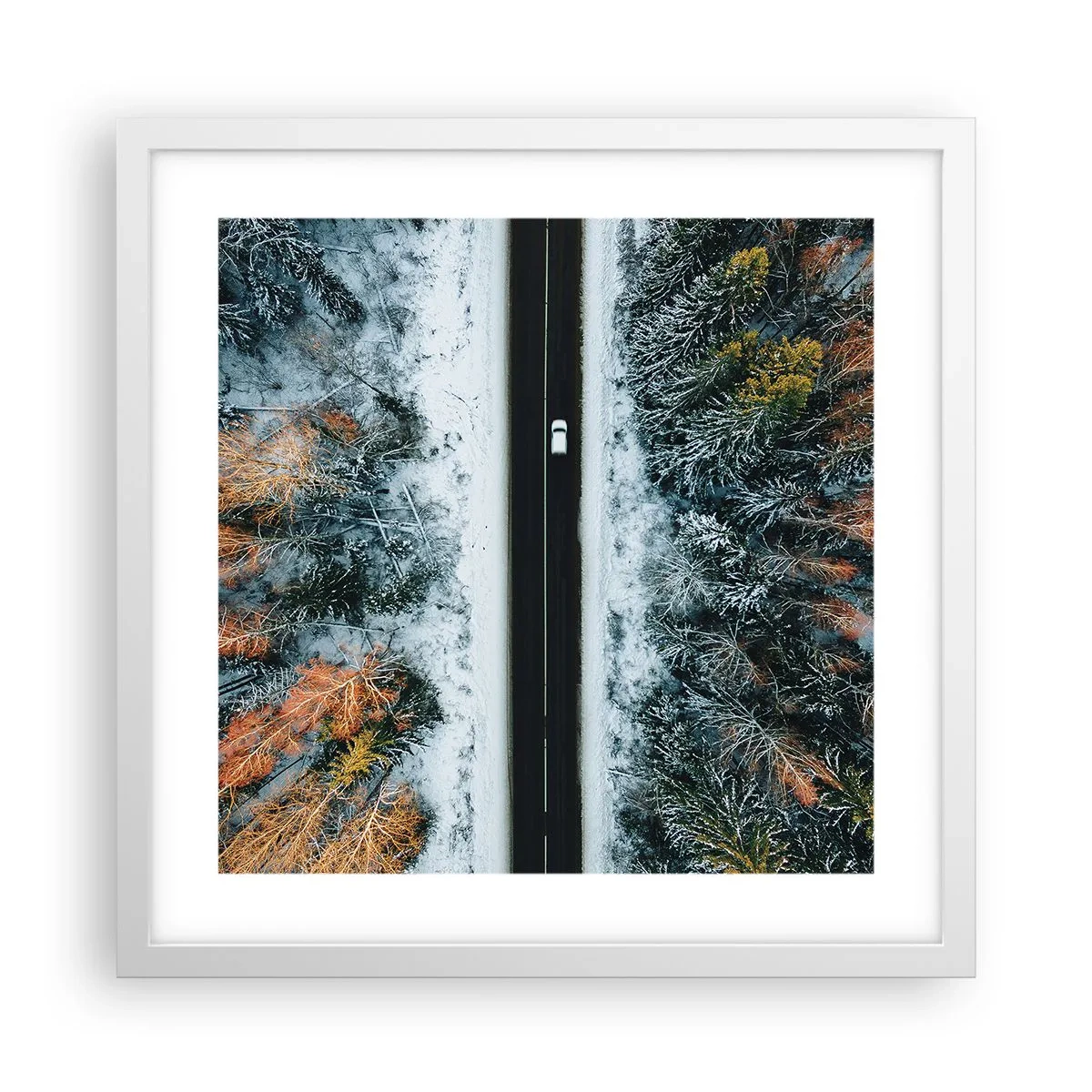 Plakát v bílém rámu - Přes zimní les - 40x40 cm