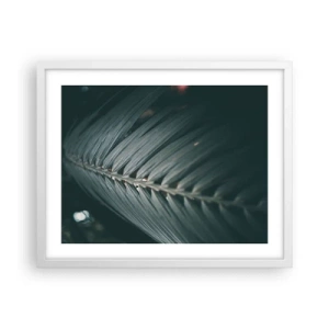 Plakát v bílém rámu - Přesnost přírody - 50x40 cm
