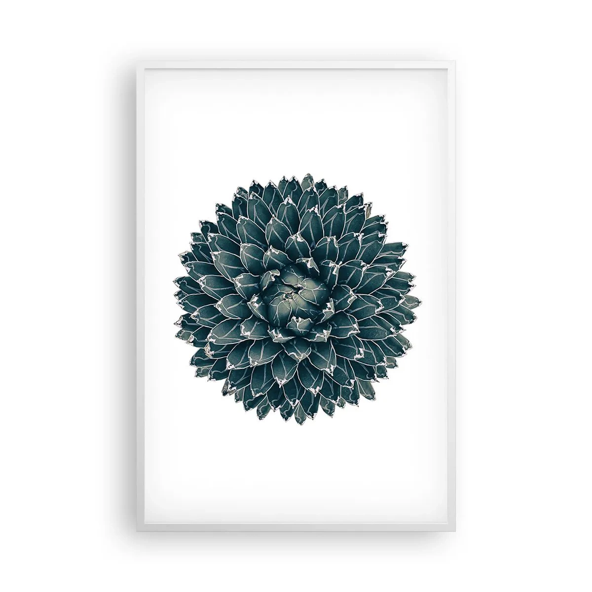 Plakát v bílém rámu - Hvězda pouště - 61x91 cm