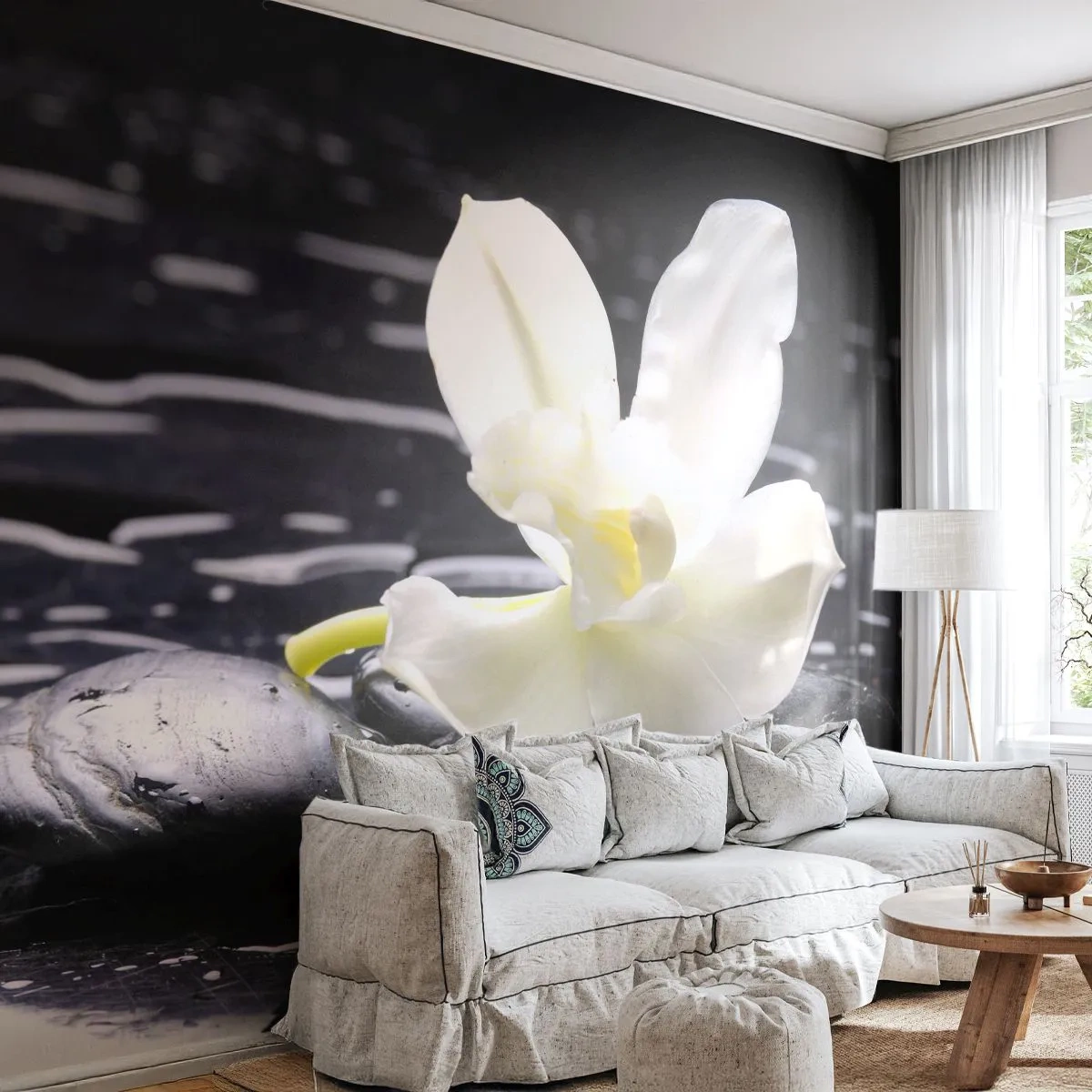 Fototapeta Standard Eco - Studie v černé a bílé - Květiny, Kameny, Orchidej - 500x350 cm