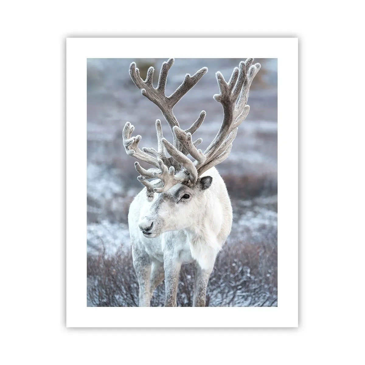 Plakát - Sluneční portrét - 40x50 cm