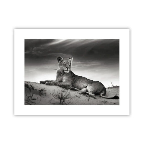 Plakát - Odpočinek královny pouště - 40x30 cm