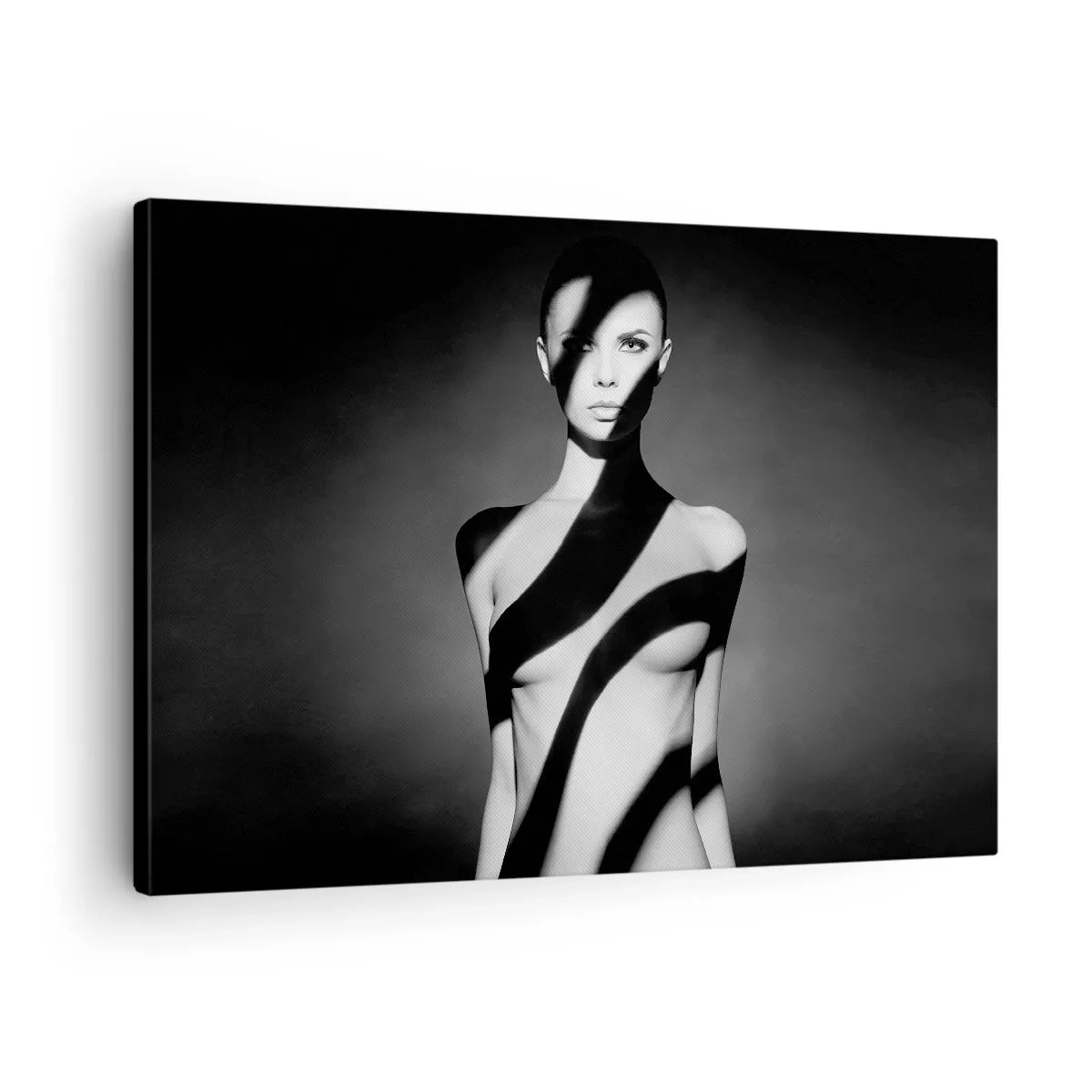 Obraz na plátně - Černobílý portrét ženy ve světle a stínu - 70x50cm - V záři i ve stínu - Moderní nástěnná dekorace do obývacího pokoje a ložnice ARTTOR