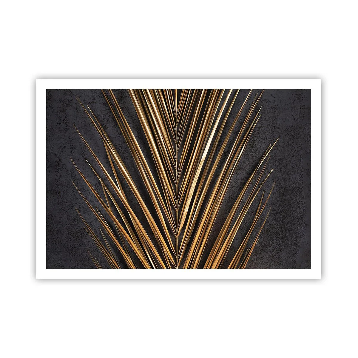 Plakát - Zlato tropů - 100x70 cm
