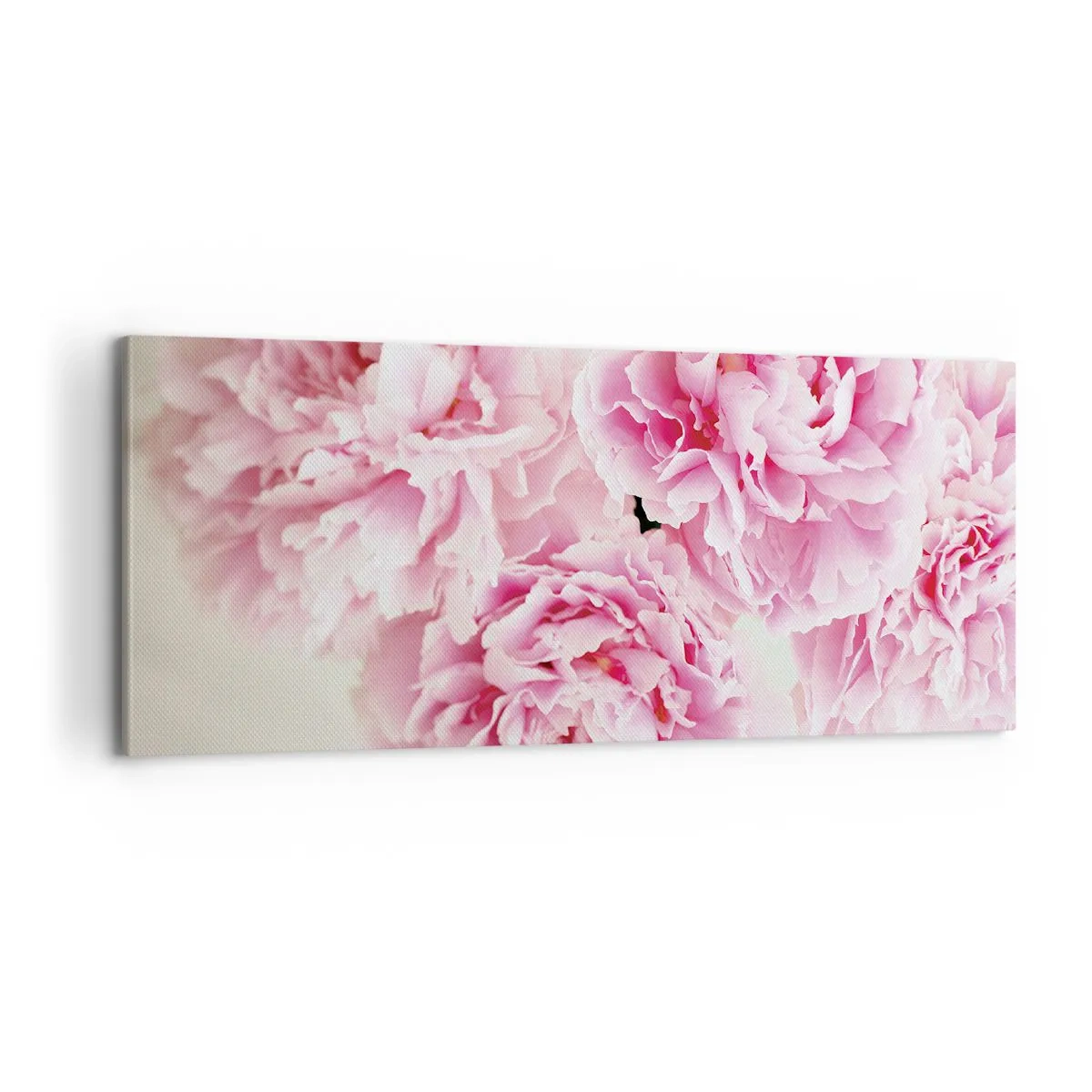 Obraz na plátně - V růžovém přepychu - 100x40 cm
