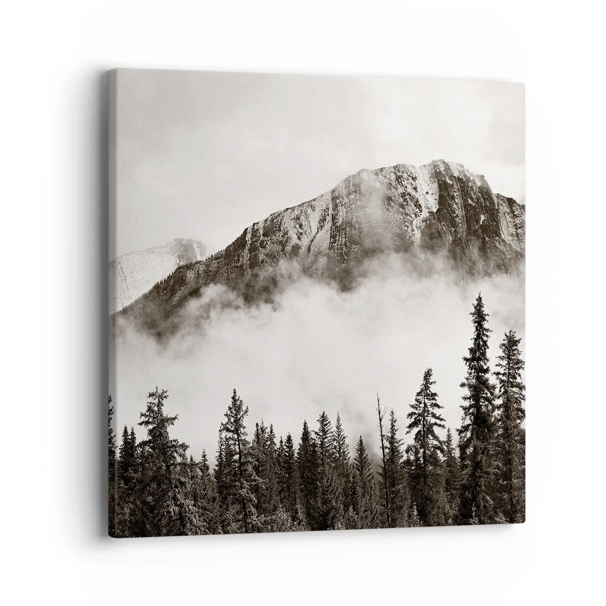 Obraz na plátně - Žulový panovník - 40x40 cm