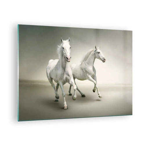 Obraz na skle - Dva bílí koně běžící na světlém pozadí - 70x50cm - White power! - Moderní nástěnná dekorace do obývacího pokoje a ložnice ARTTOR