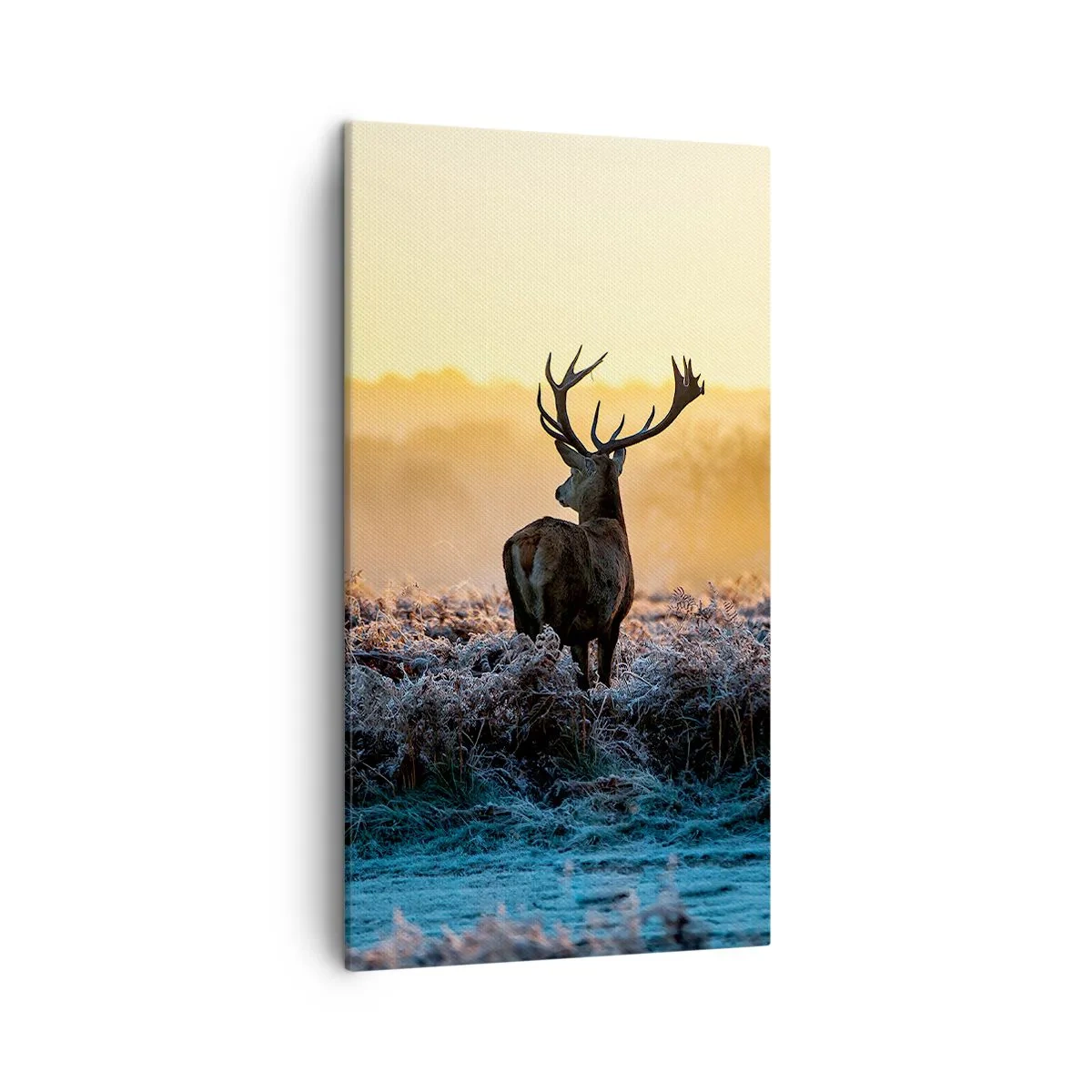 Obraz na plátně - Korunován na svém panství - 45x80 cm