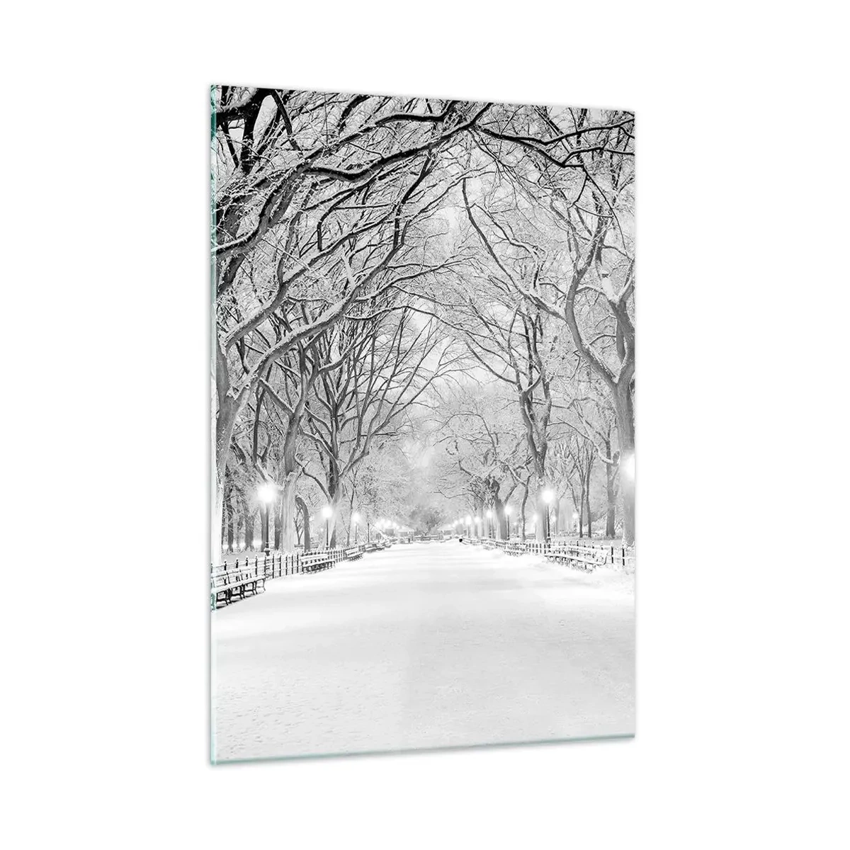 Obraz na skle - Čtyři roční období – zima - 50x70 cm