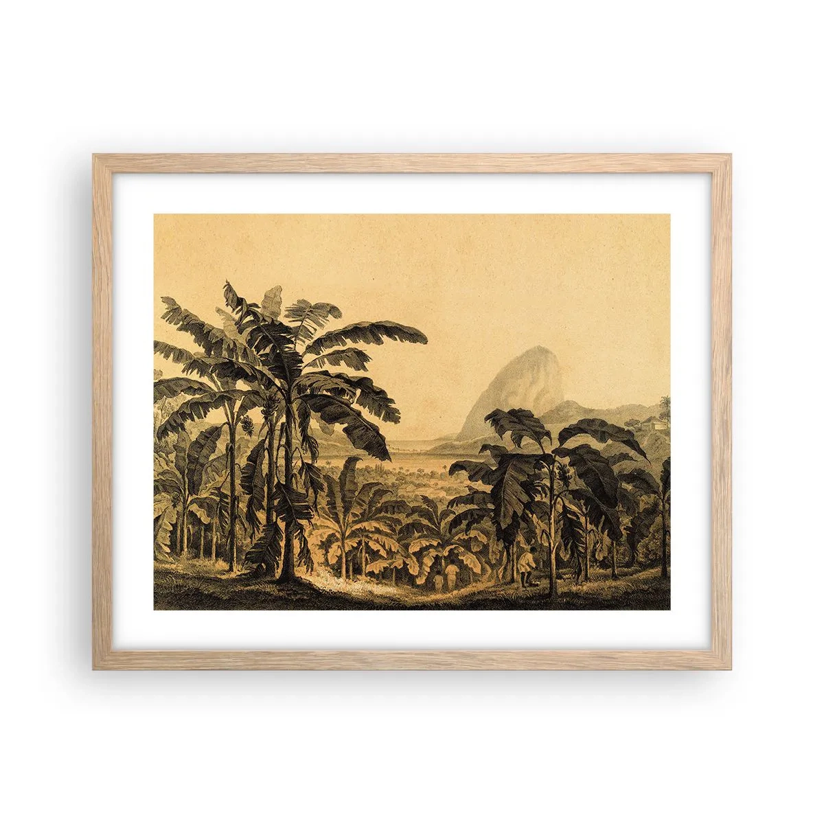 Plakát v rámu světlý dub - V koloniálním stylu - 50x40 cm