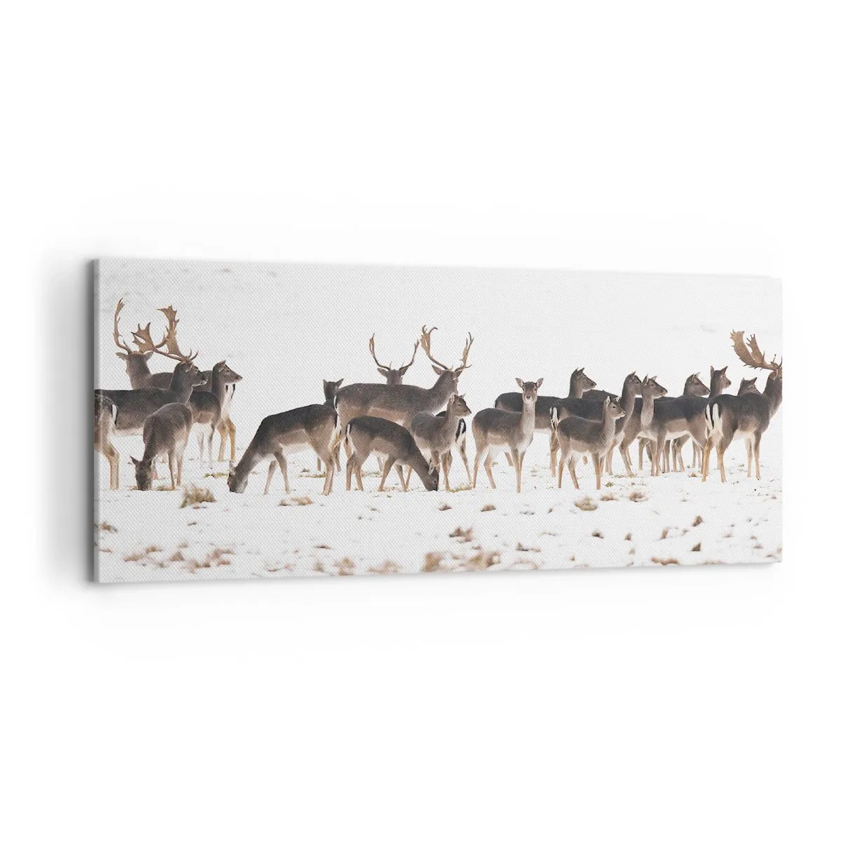 Obraz na plátně - Budou svátky? - 100x40 cm