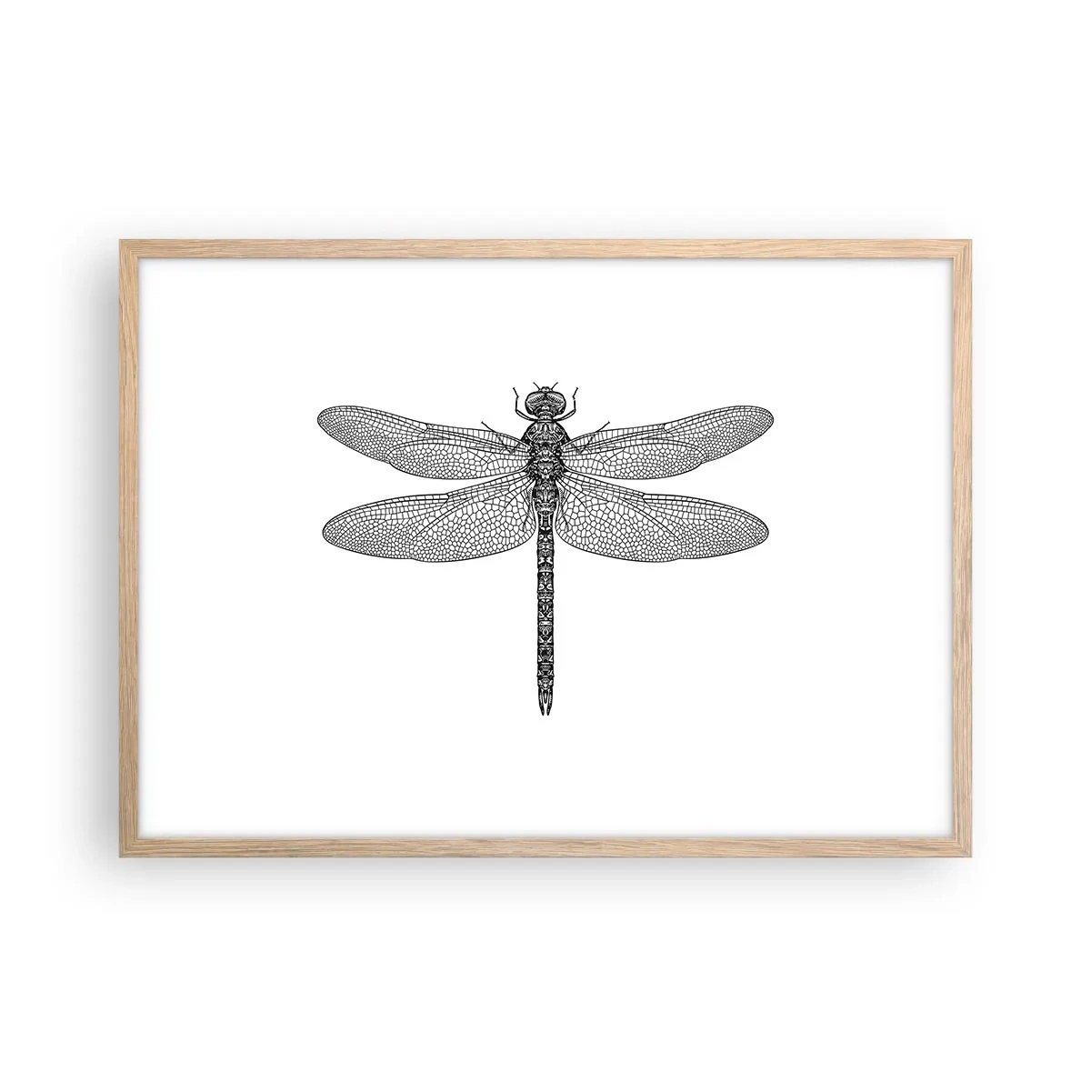 Plakát v rámu světlý dub - Přesnost přírody - 70x50 cm