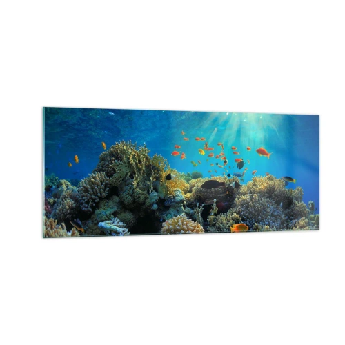 Obraz na skle - Podvodní poklady - 100x40 cm