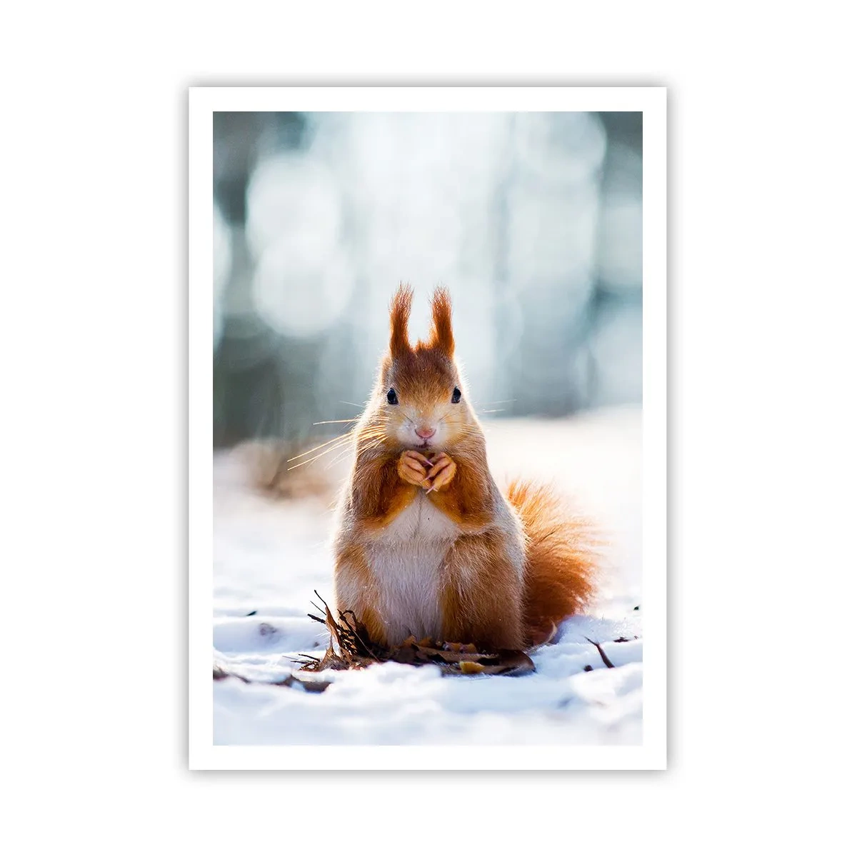 Plakát - Co se tak díváš? - 70x100 cm