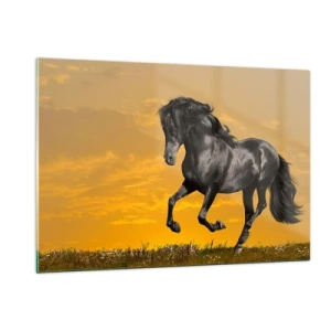 Obraz na skle - Krásný, svobodný a divoký - 120x80 cm