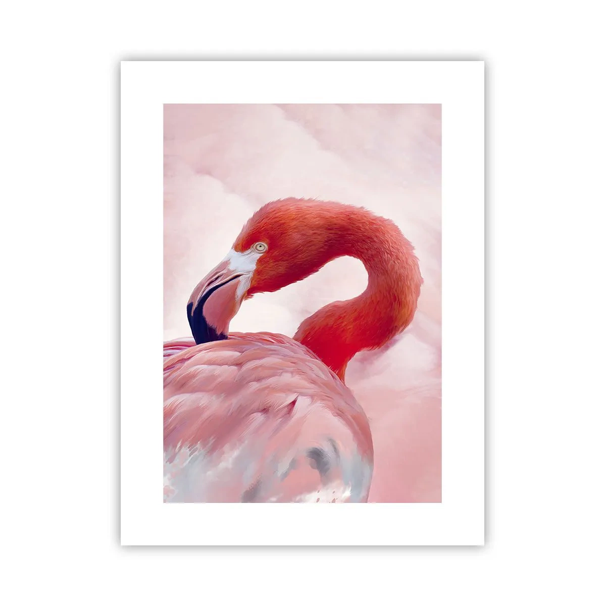 Plakát - Ptačí krása - 30x40 cm