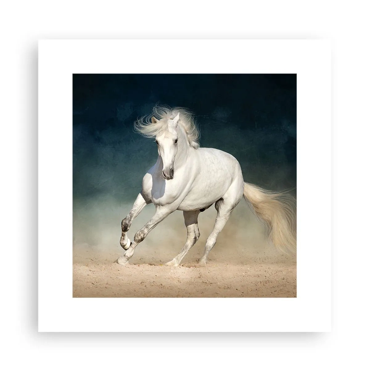 Plakát - Svoboda v čistém stavu - 30x30 cm