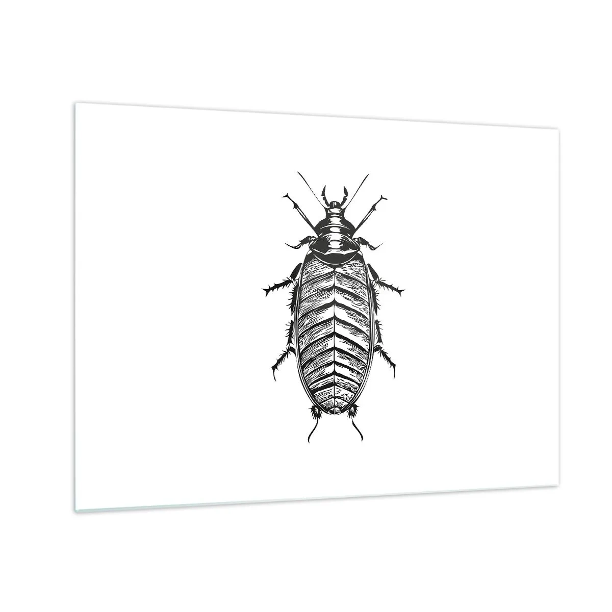 Obraz na skle - Černobílé ilustrace hmyzu na bílém pozadí - 70x50cm - Vzorový exemplář! - Moderní nástěnná dekorace do obývacího pokoje a ložnice ARTTOR