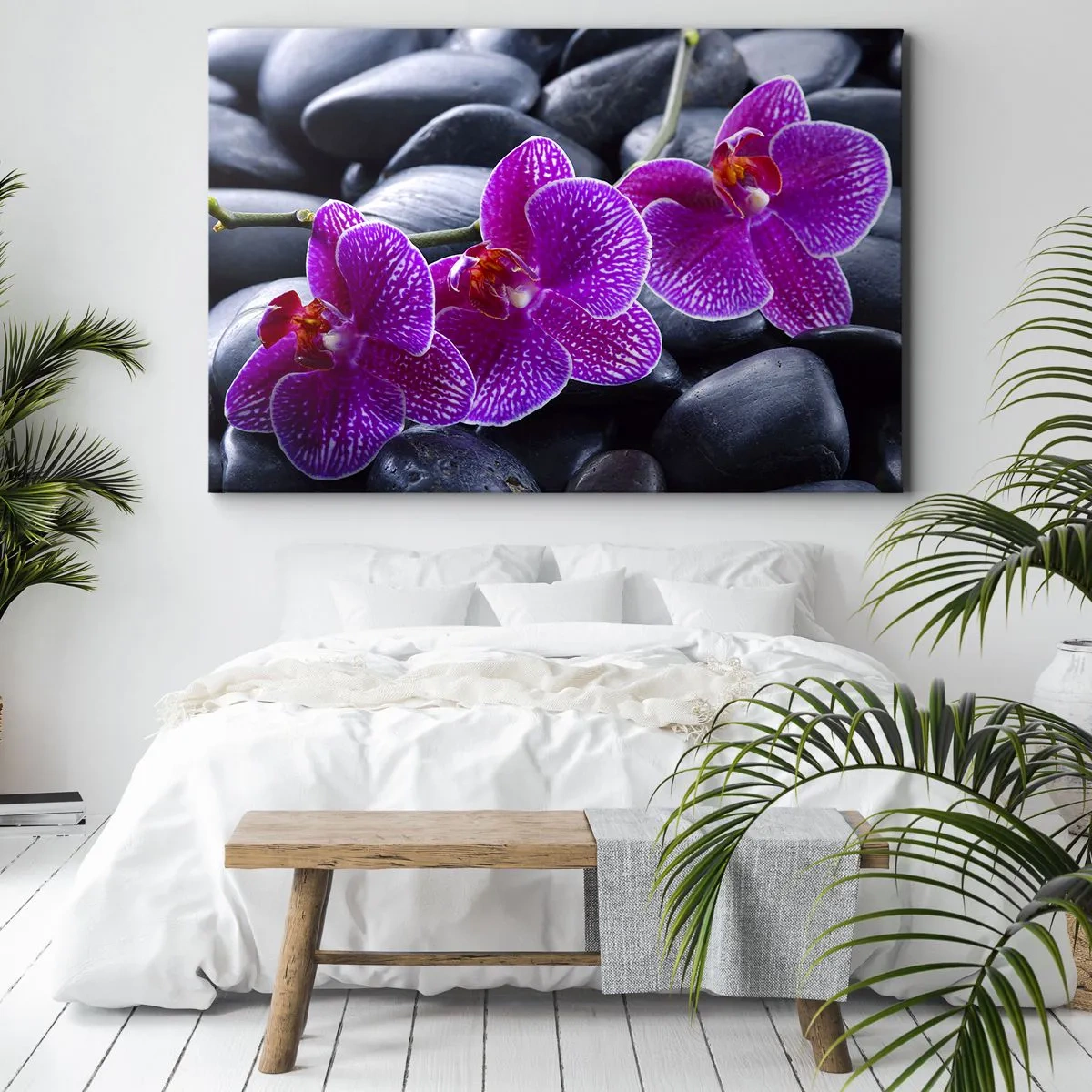 Obraz na plátně - Fialové orchideje na pozadí černých kamenů - 70x50cm - Kameny se rozzářily nadšením - Moderní nástěnná dekorace do obývacího pokoje a ložnice ARTTOR