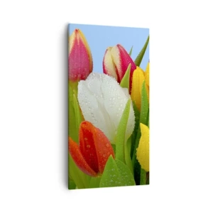 Obraz na plátně - Květinová duha v kapkách rosy - 55x100 cm