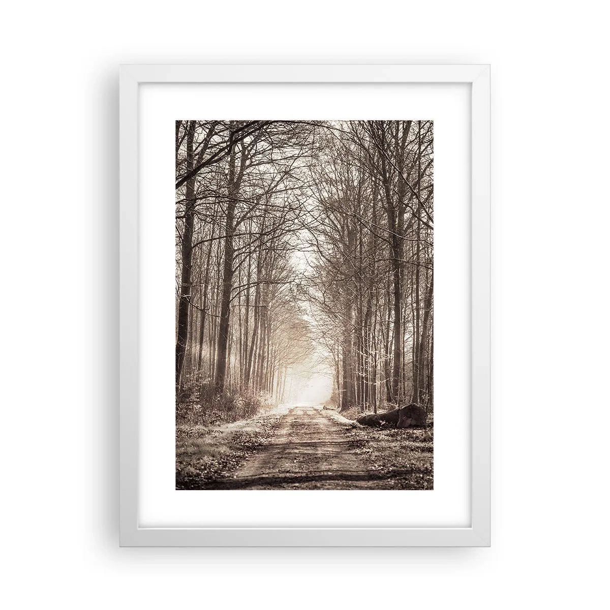 Plakát v bílém rámu - Lesní katedrála - 30x40 cm