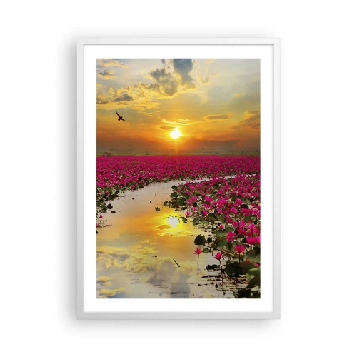 Plakát v bílém rámu - Tajemný život jezera - 50x70 cm