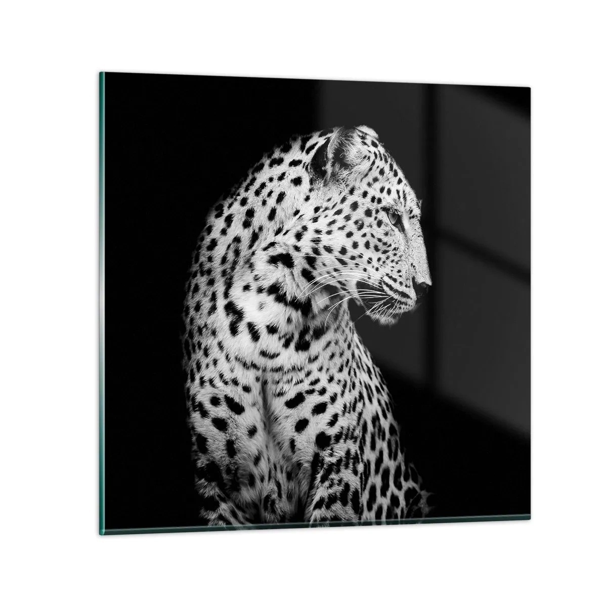 Obraz na skle - Pravý profil perfektní! - 70x70 cm