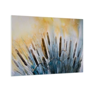 Obraz na skle - Malované orobince proti slunečné obloze - 70x50cm - Chlad vody, žár slunce - Moderní nástěnná dekorace do obývacího pokoje a ložnice ARTTOR