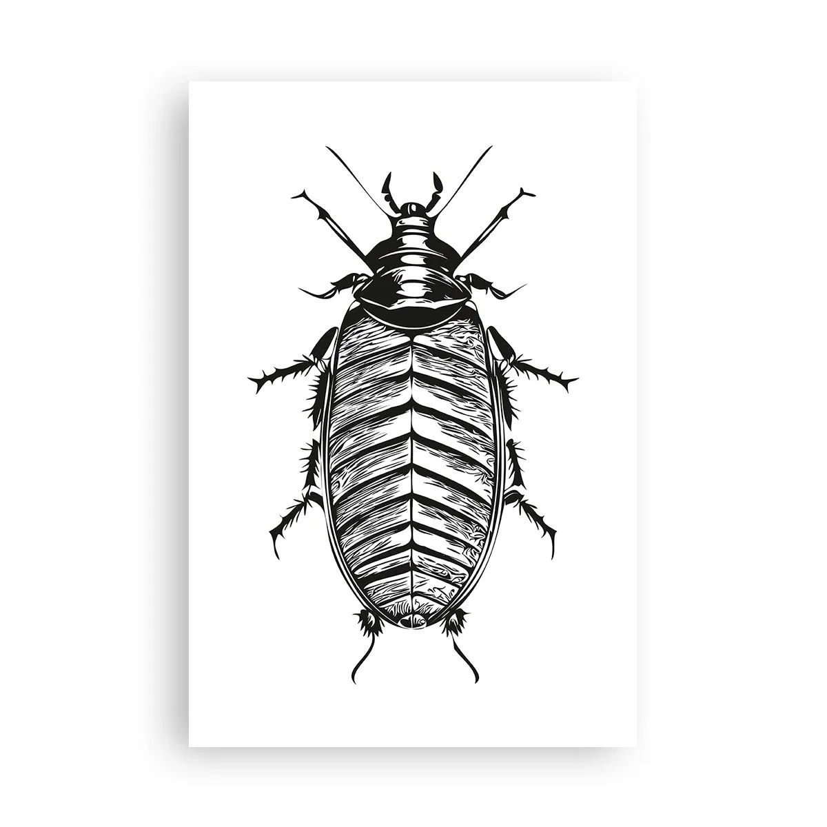 Plakát - Vzorový exemplář! - 61x91 cm