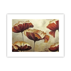 Plakát - Lán louky - 40x30 cm