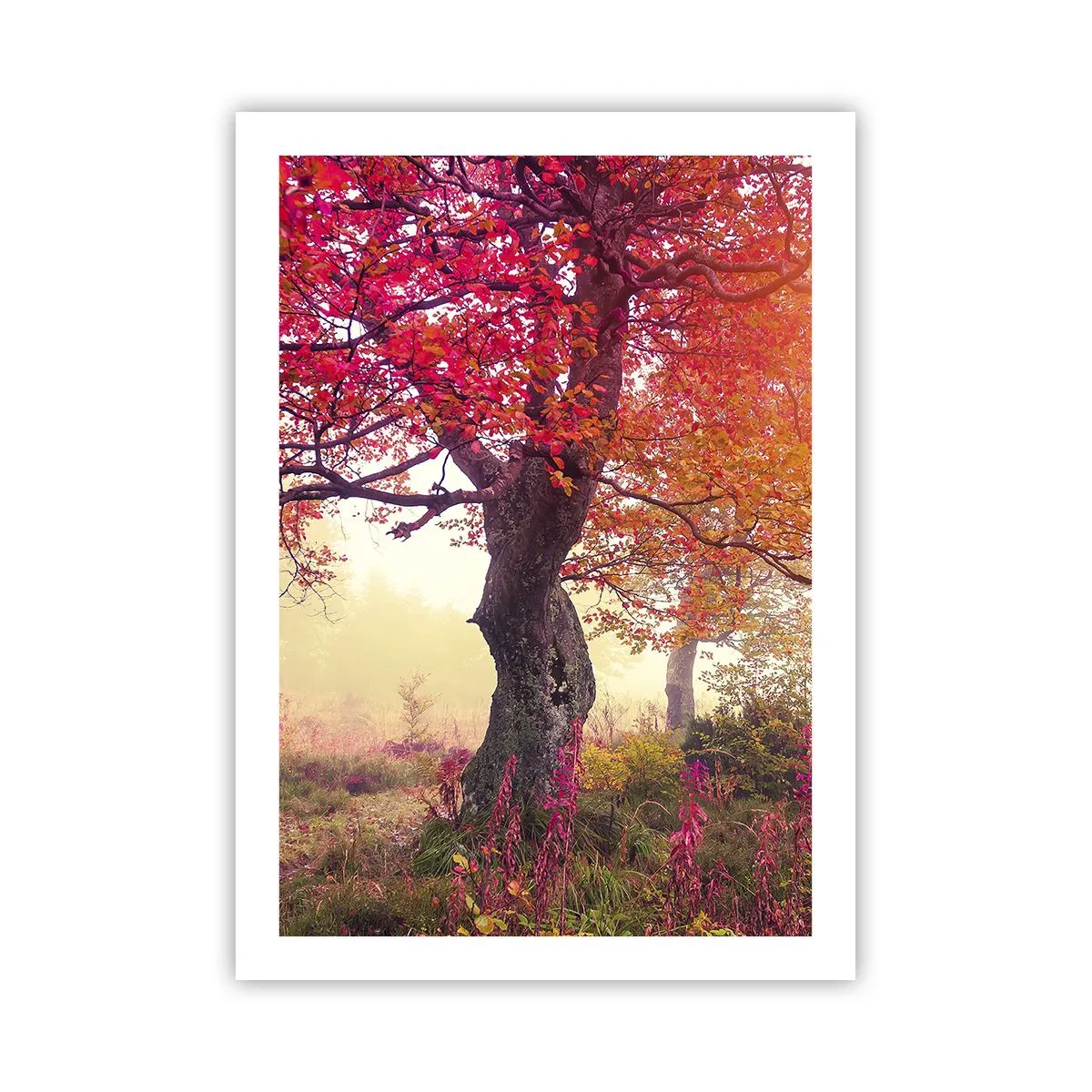 Plakát - Šílenství rozkvětu - 50x70 cm