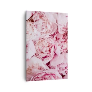 Obraz na plátně - Přitulené a voňavé - 80x120 cm