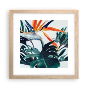 Plakát v rámu světlý dub - Ptákeř - 30x30 cm