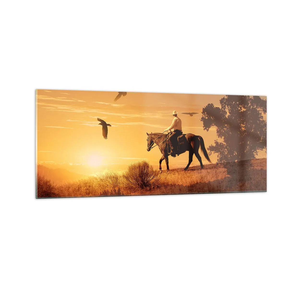Obraz na skle - Sám prérií - 100x40 cm