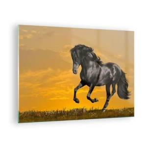 Obraz na skle - Černý kůň cválající proti zapadajícímu slunci - 70x50cm - Krásný, svobodný a divoký - Moderní nástěnná dekorace do obývacího pokoje a ložnice ARTTOR