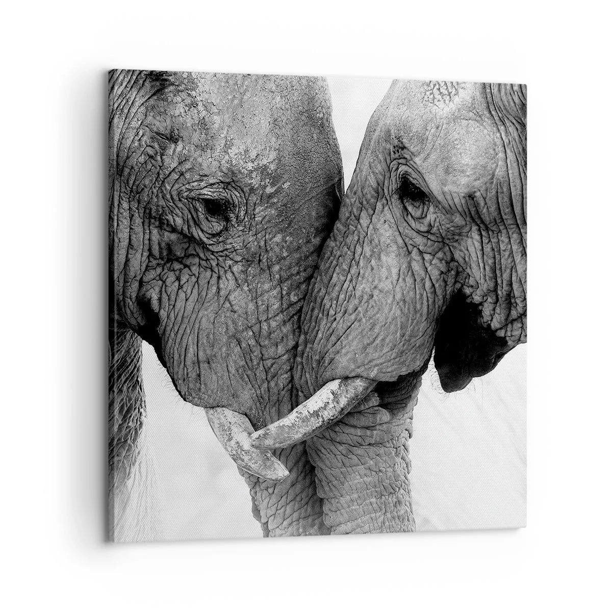 Obraz na plátně - Upřímné vyznání - 60x60 cm